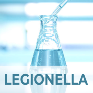 Analisi presenza di <em><spam style="color:#497c95">Legionella pneumophila</em>